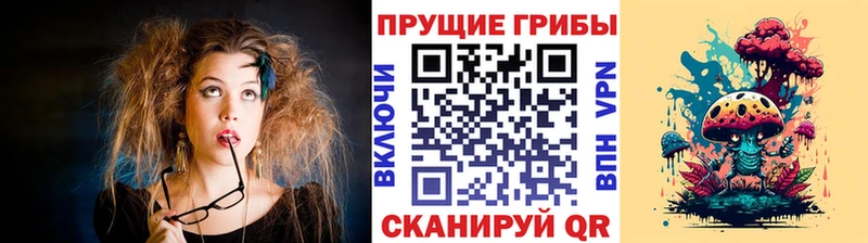 Псилоцибиновые грибы Psilocybe  Сусуман 